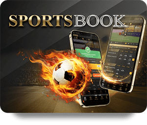 12BET Đá Gà Trực Tiếp: Những Điều Cần Biết